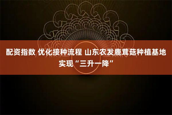 配资指数 优化接种流程 山东农发鹿茸菇种植基地实现“三升一降”