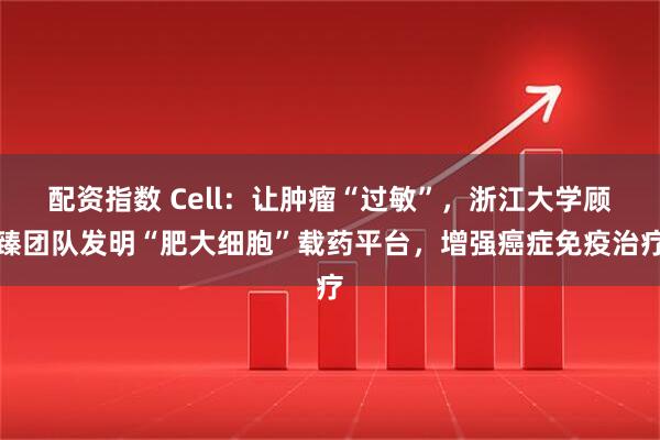 配资指数 Cell:让肿瘤“过敏”,浙江大学顾臻团队发明“肥大细胞”载药平台,增强癌症免疫治疗