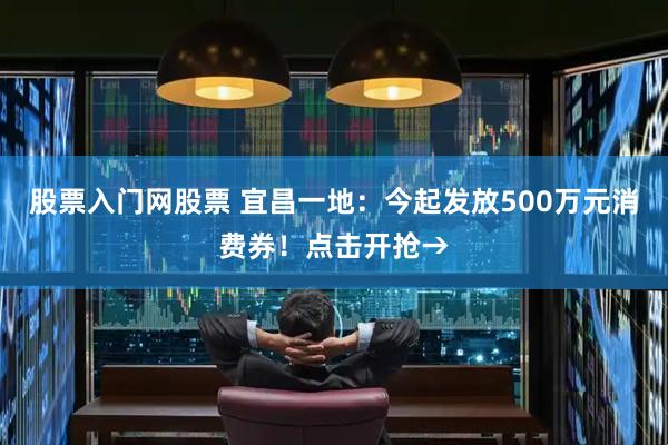 股票入门网股票 宜昌一地：今起发放500万元消费券！点击开抢→
