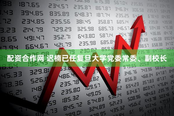 配资合作网 迟楠已任复旦大学党委常委、副校长